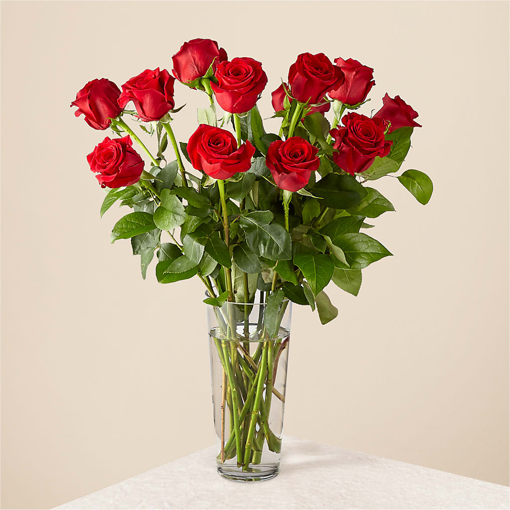 Long Stem Red Rose Bouquet – Platte Floral, Colorado Springs CO