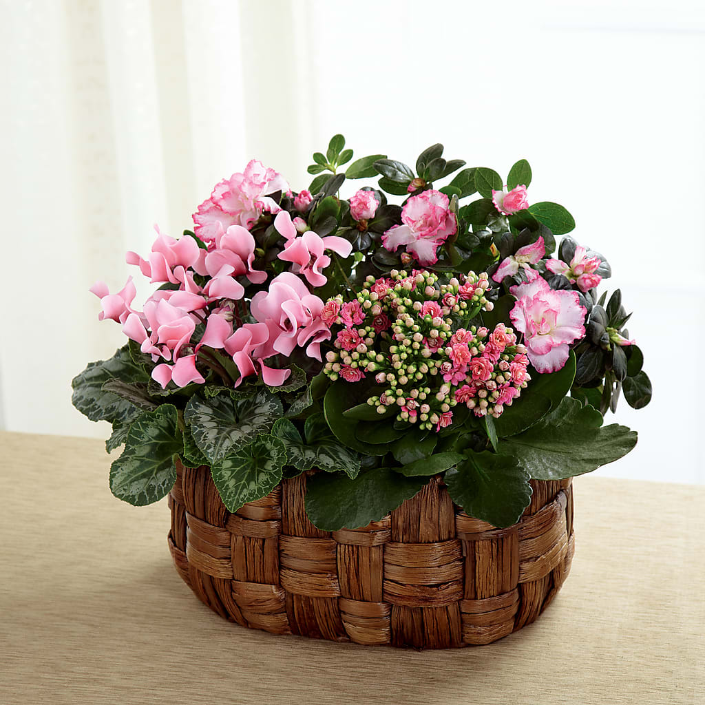 Pink Assortment – Platte Floral, Colorado Springs CO