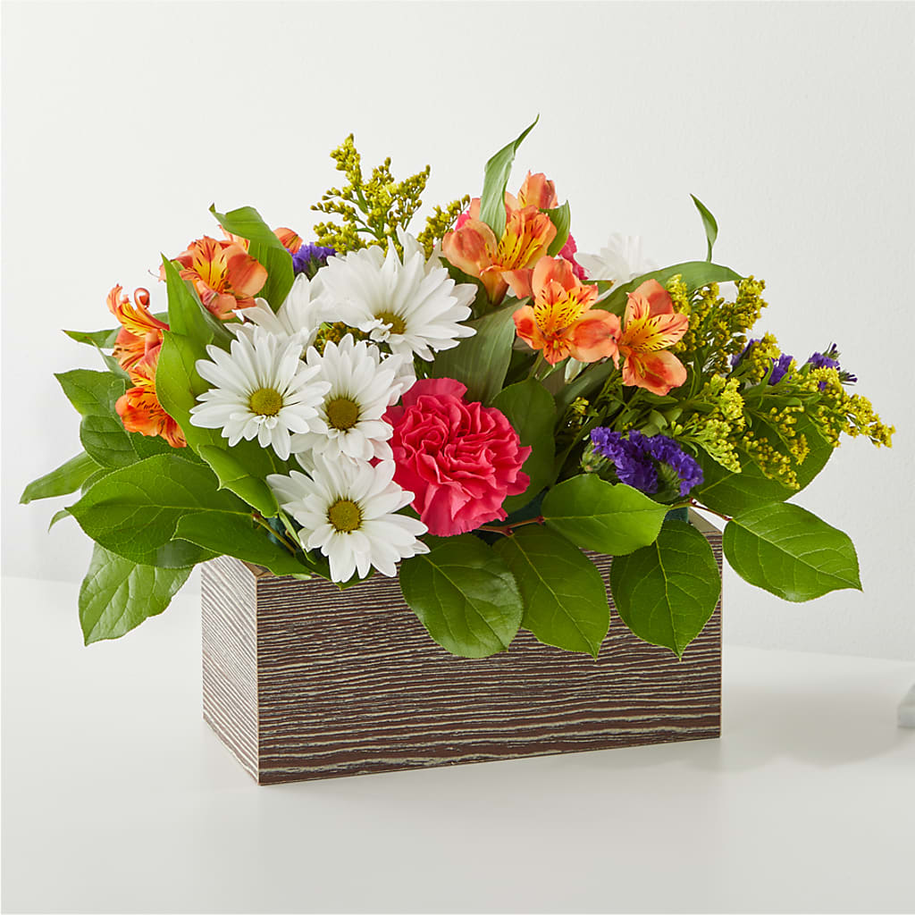 Oopsie Daisy Box Bouquet – Platte Floral, Colorado Springs CO