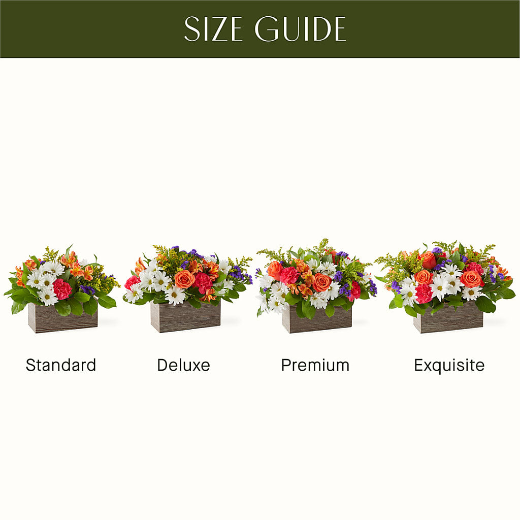 Oopsie Daisy Box Bouquet – Platte Floral, Colorado Springs CO