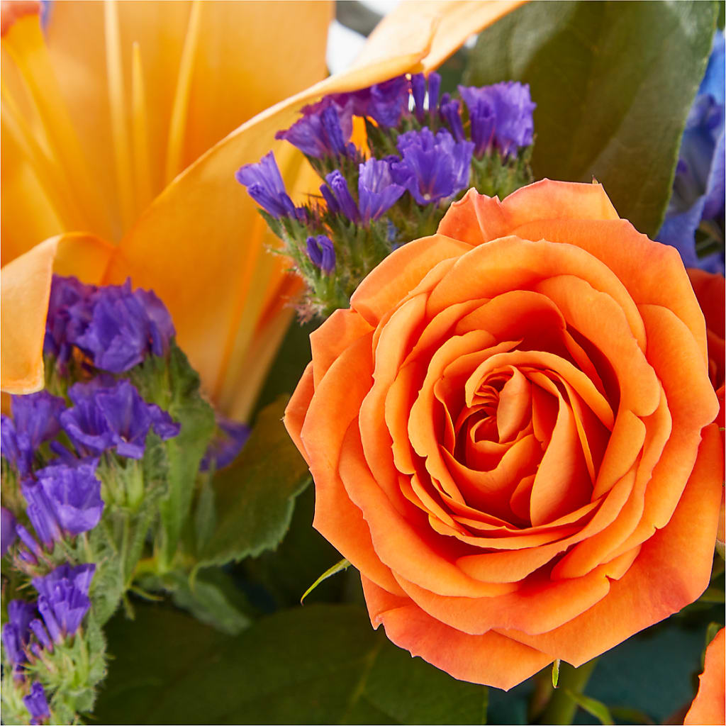 Radiant Citrus Box Bouquet – Platte Floral, Colorado Springs CO