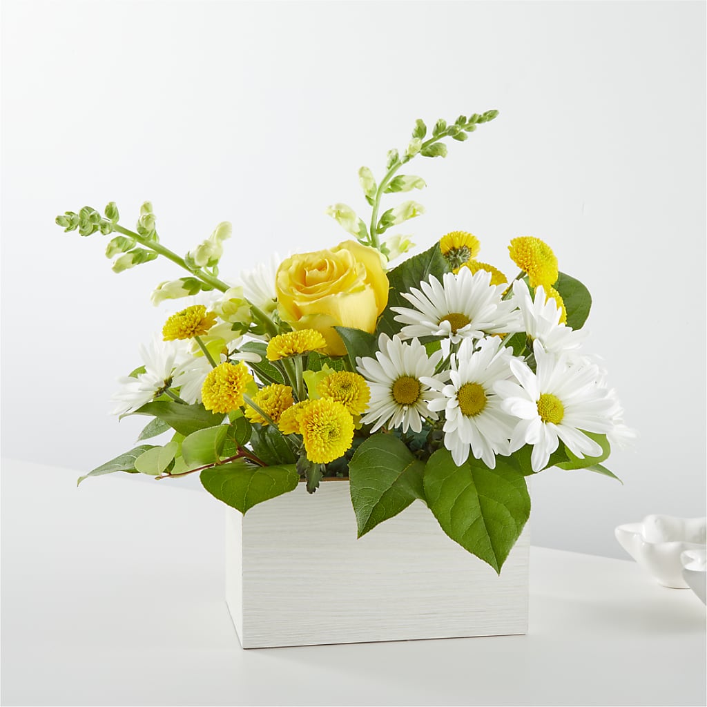 Sun Salutation Box Bouquet – Platte Floral, Colorado Springs CO