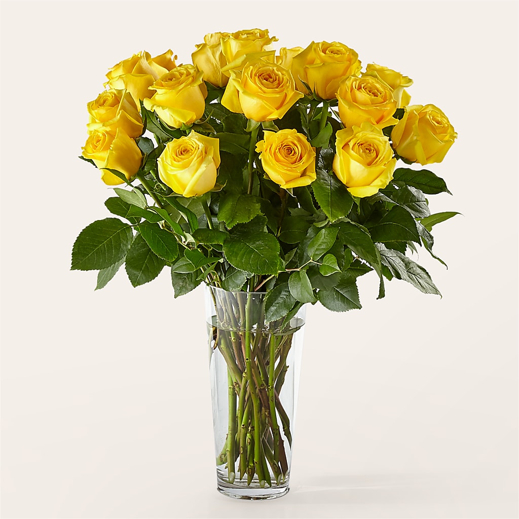 Long Stem Yellow Rose Bouquet – Platte Floral, Colorado Springs CO