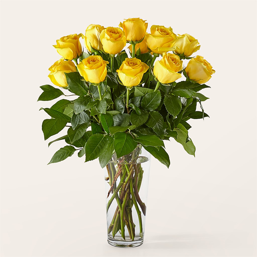 Long Stem Yellow Rose Bouquet – Platte Floral, Colorado Springs CO
