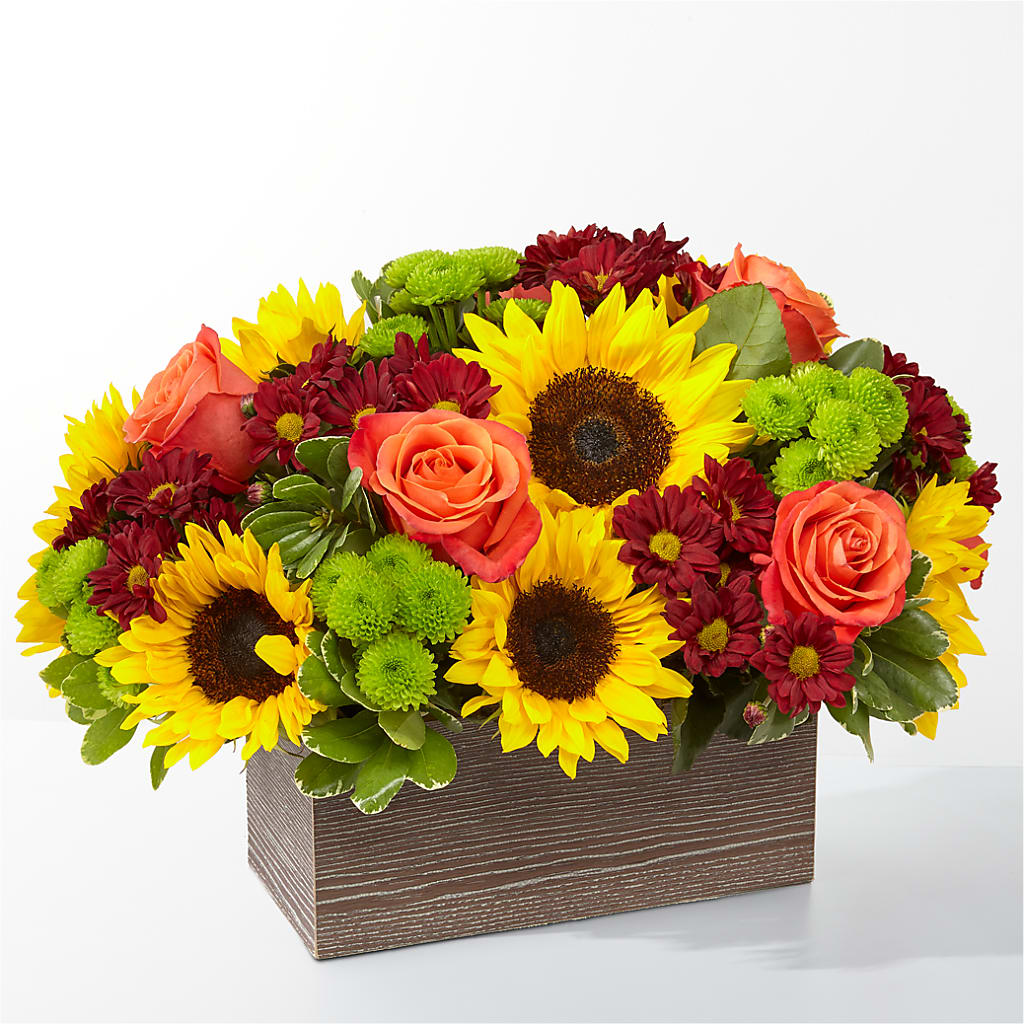 Happy Harvest Garden – Platte Floral, Colorado Springs CO