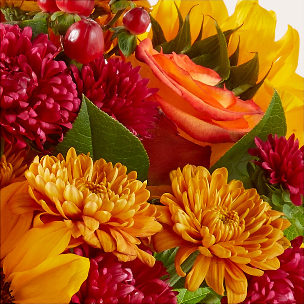 Sweater Season - A Florist Original – Platte Floral, Colorado Springs CO