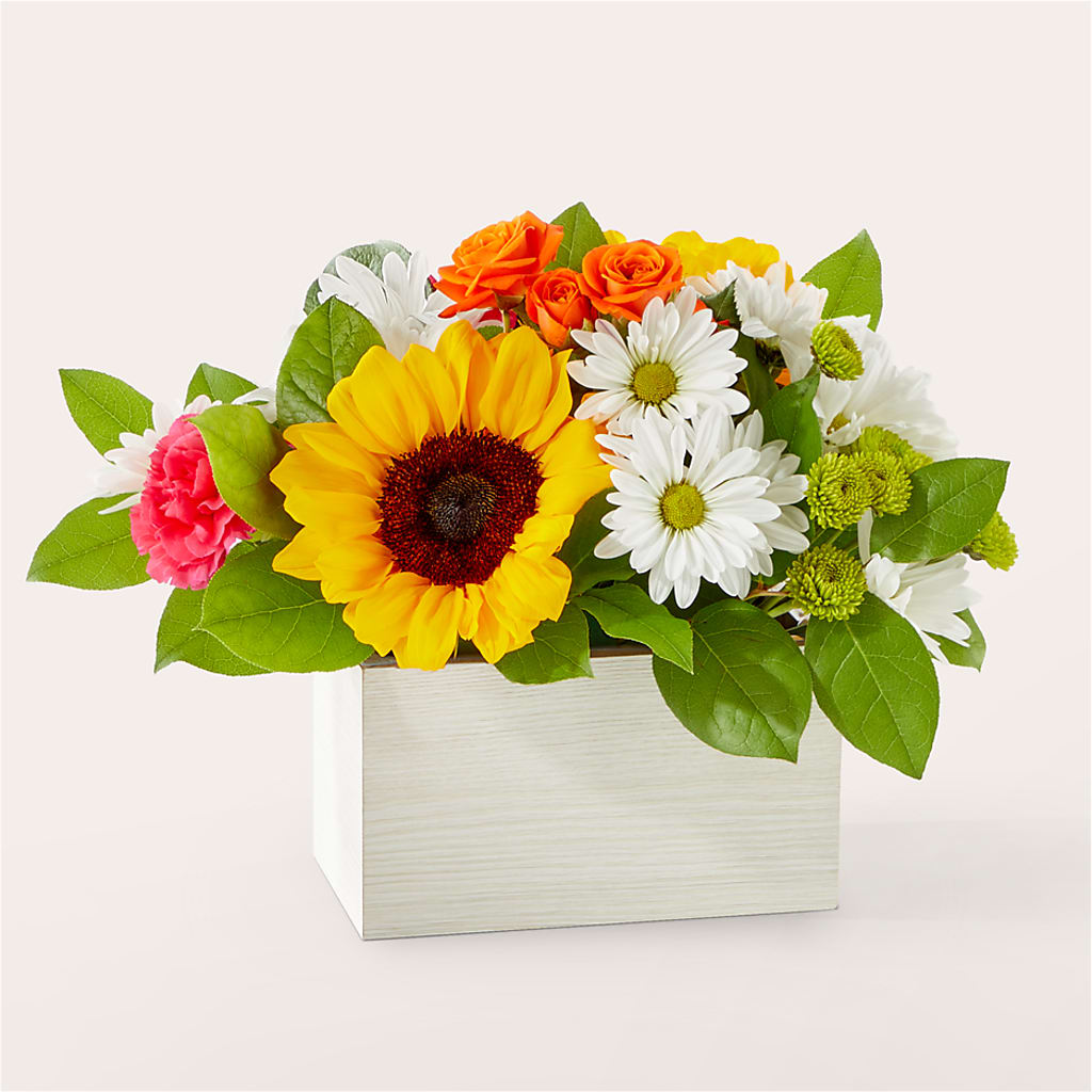 Sun-drenched Blooms Box Bouquet – Platte Floral, Colorado Springs CO