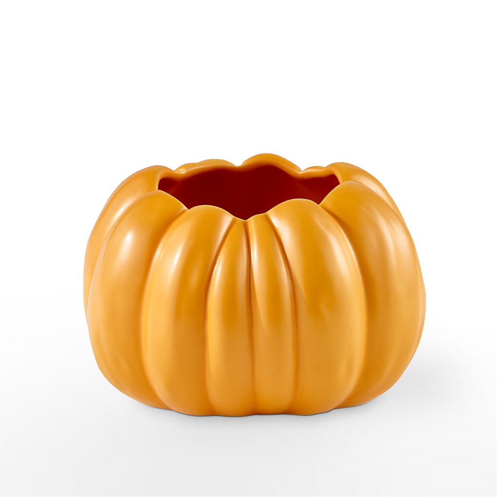 Pick of the Patch Pumpkin Bouquet – Platte Floral, Colorado Springs CO