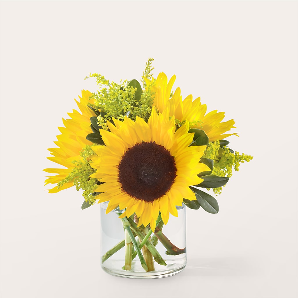 Beaming Sunflower Bouquet – Platte Floral, Colorado Springs CO