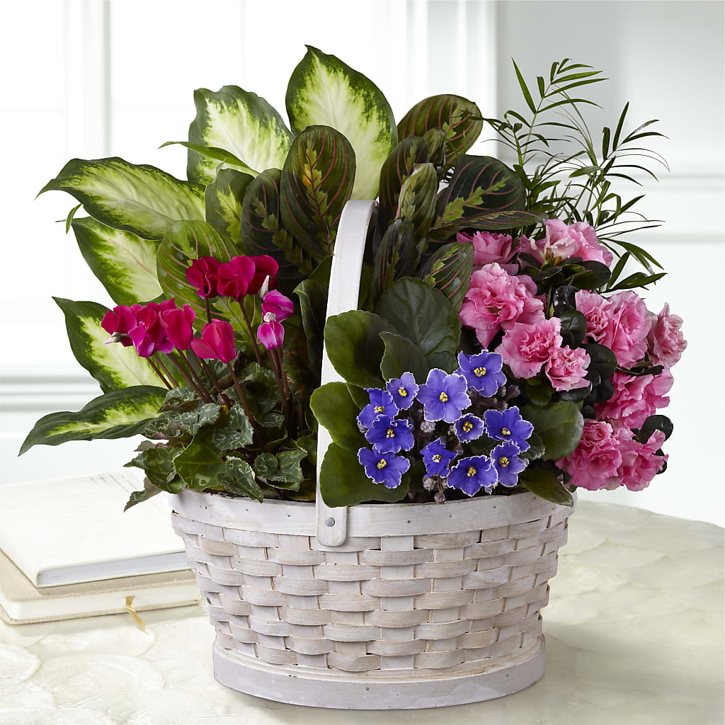Peaceful Garden Planter – Platte Floral, Colorado Springs CO
