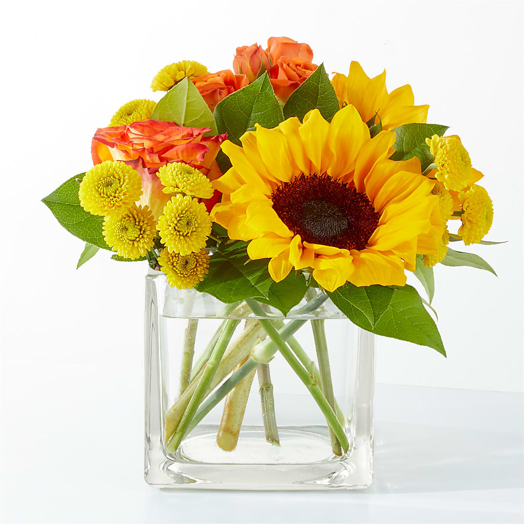 Picnic in the Park Bouquet – Platte Floral, Colorado Springs CO