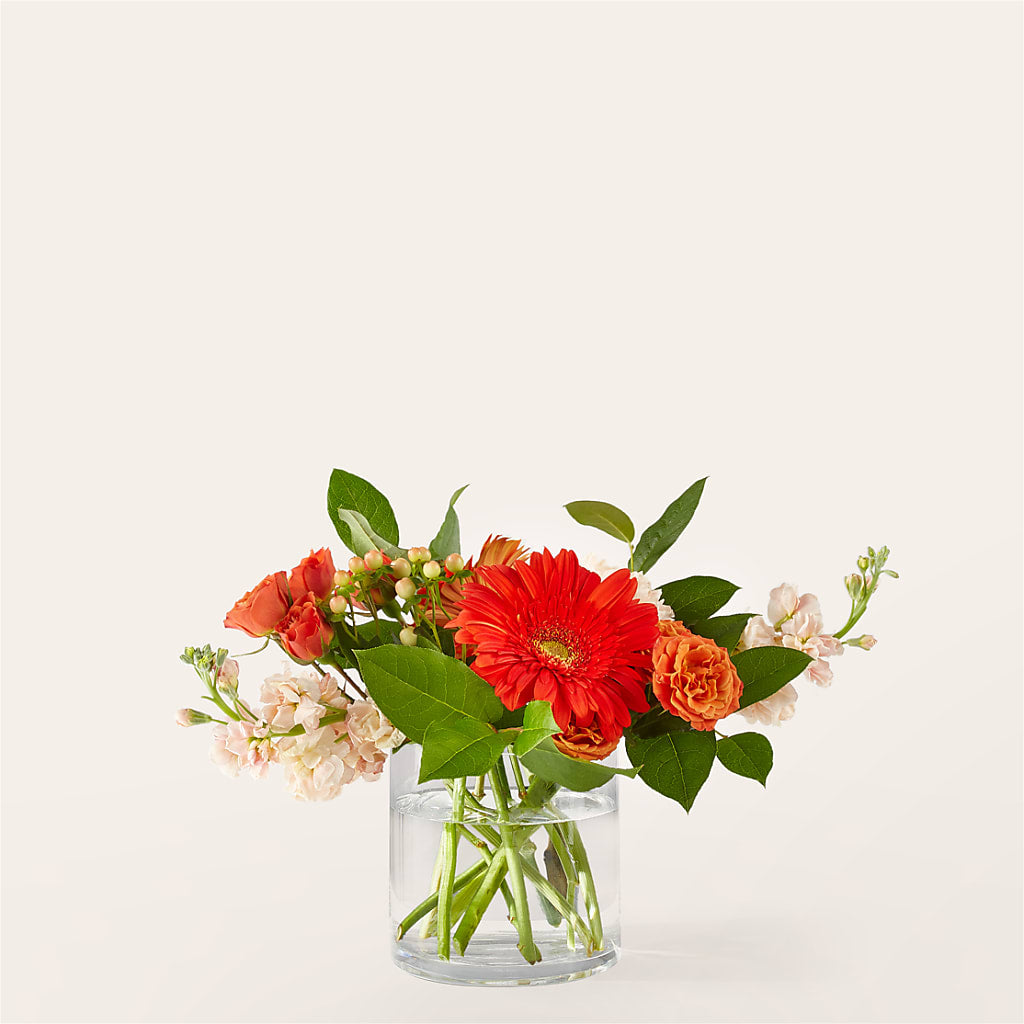 Paloma Please Bouquet – Platte Floral, Colorado Springs CO