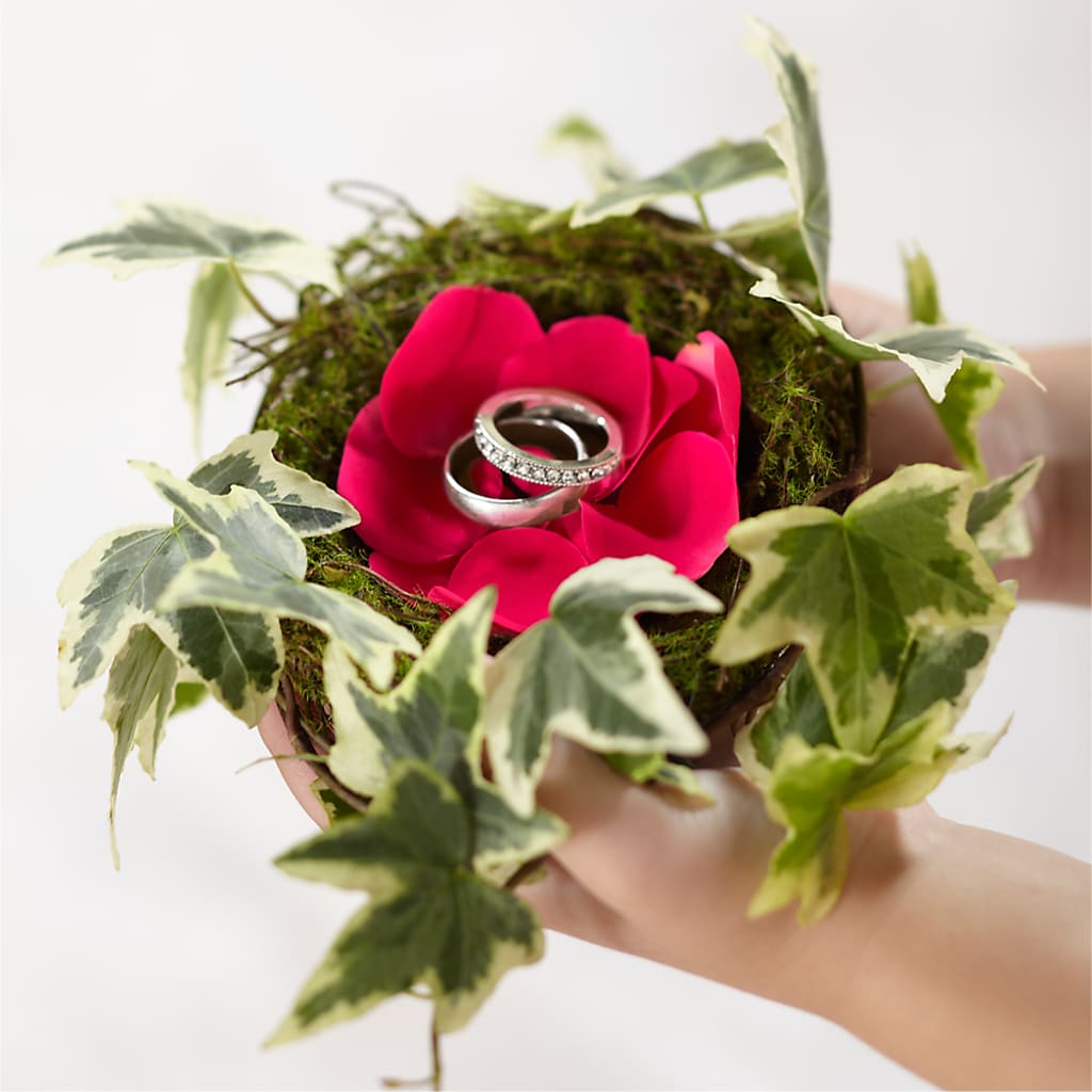 Lila Rose Ring Nest – Platte Floral, Colorado Springs CO