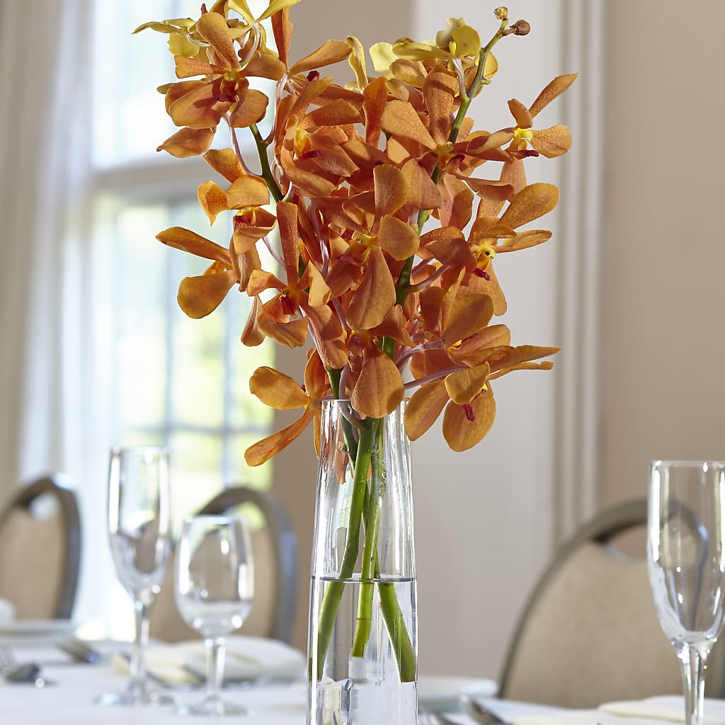 Orange Mokara Bud Vase – Platte Floral, Colorado Springs CO
