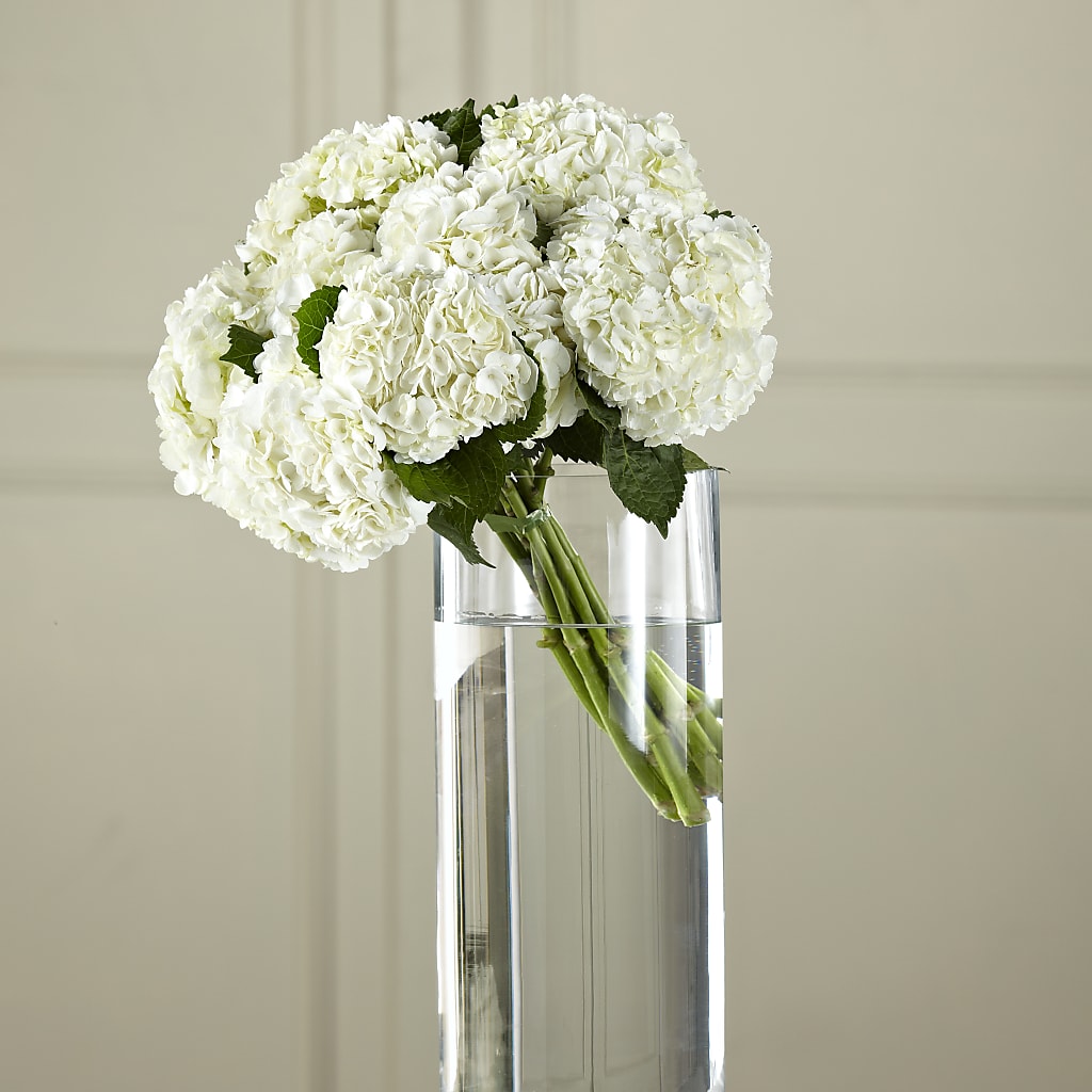 White Hydrangea Hand-Tied Bouquet – Platte Floral, Colorado Springs CO