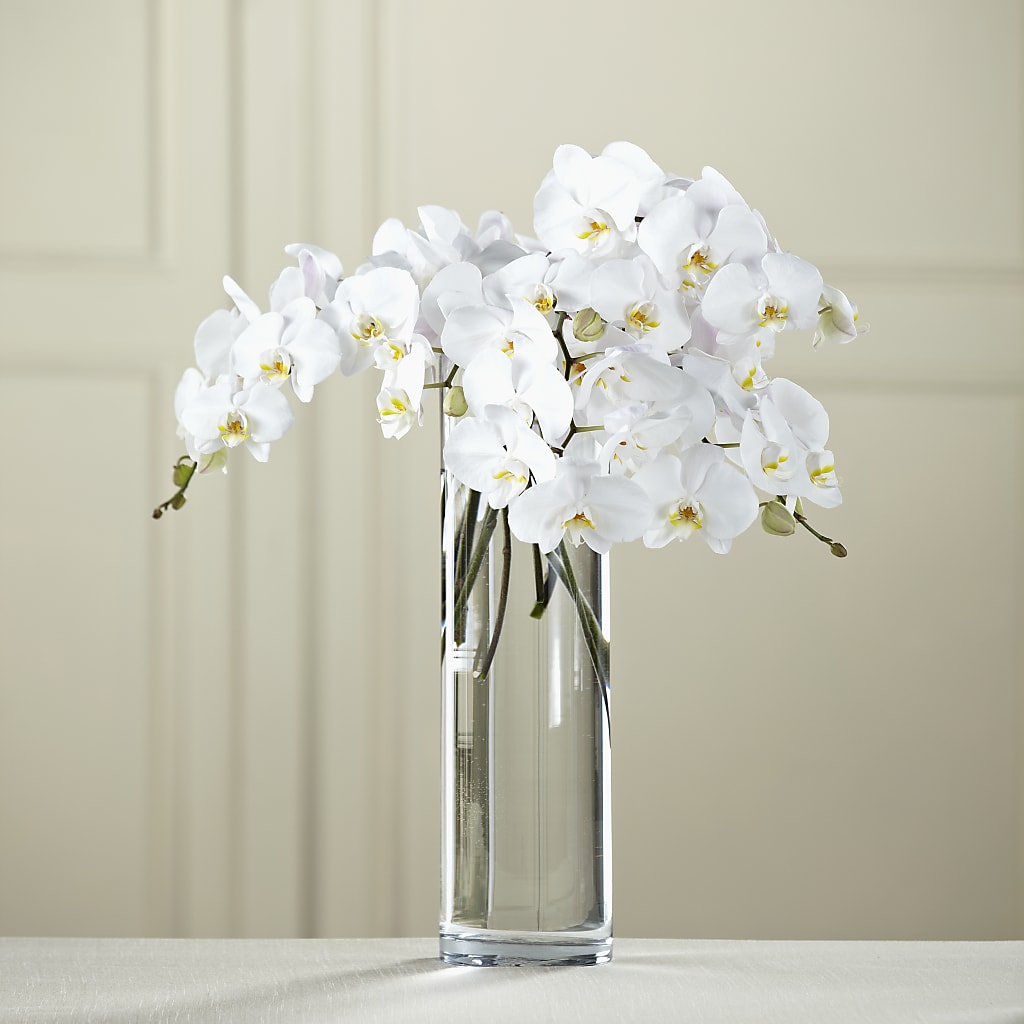 White Phalaenopsis Bouquet – Platte Floral, Colorado Springs CO