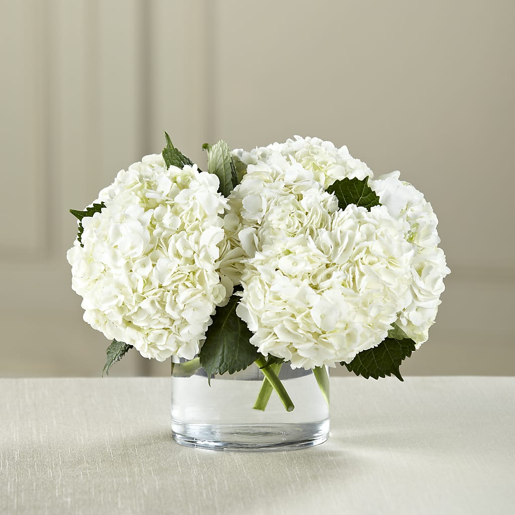 White Hydrangea Bouquet – Platte Floral, Colorado Springs CO
