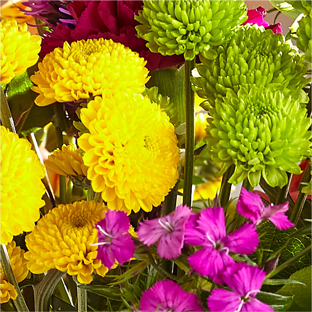 Bold & Bright – A Florist Original –  Platte Floral, Colorado Springs CO