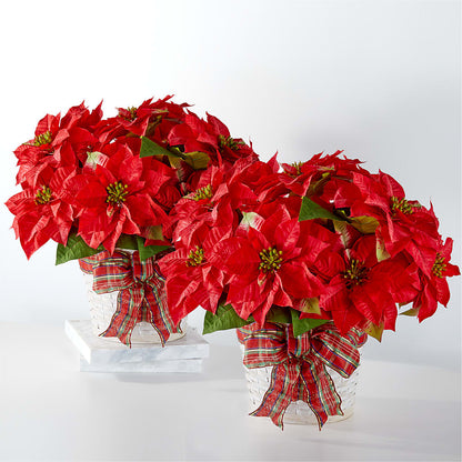 Happiest Holidays Poinsettia Bundle –  Platte Floral, Colorado Springs CO