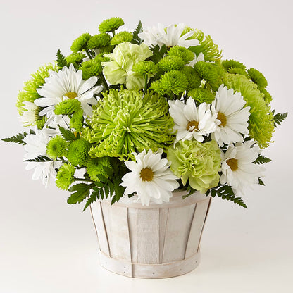 Lucky Charm Basket (Standard) –  Platte Floral, Colorado Springs CO