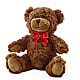 Adorable Plush Bear –  Platte Floral, Colorado Springs CO