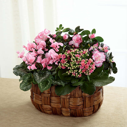 Pink Assortment –  Platte Floral, Colorado Springs CO