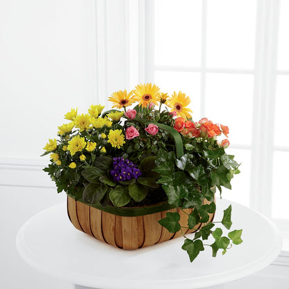 Gentle Blossoms Basket –  Platte Floral, Colorado Springs CO