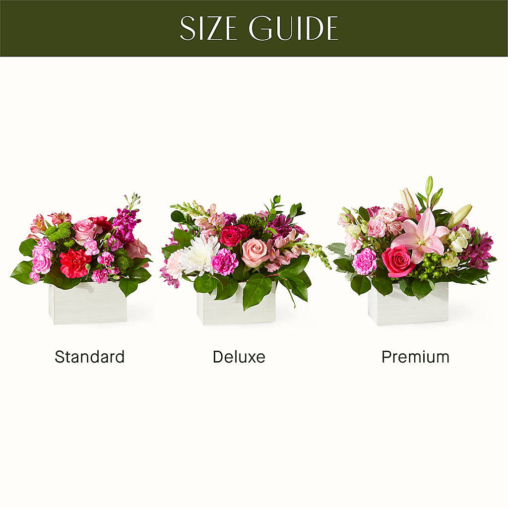 Sweetberry Box – A Florist Original –  Platte Floral, Colorado Springs CO