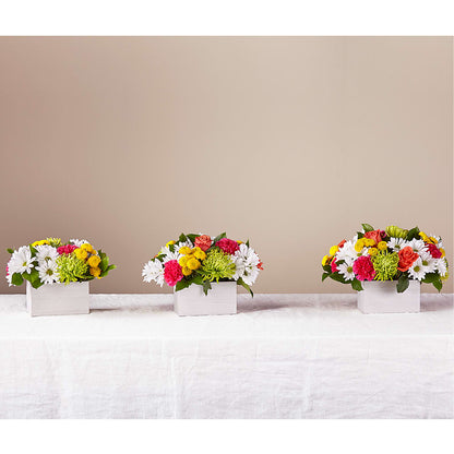 Sorbet Bouquet –  Platte Floral, Colorado Springs CO
