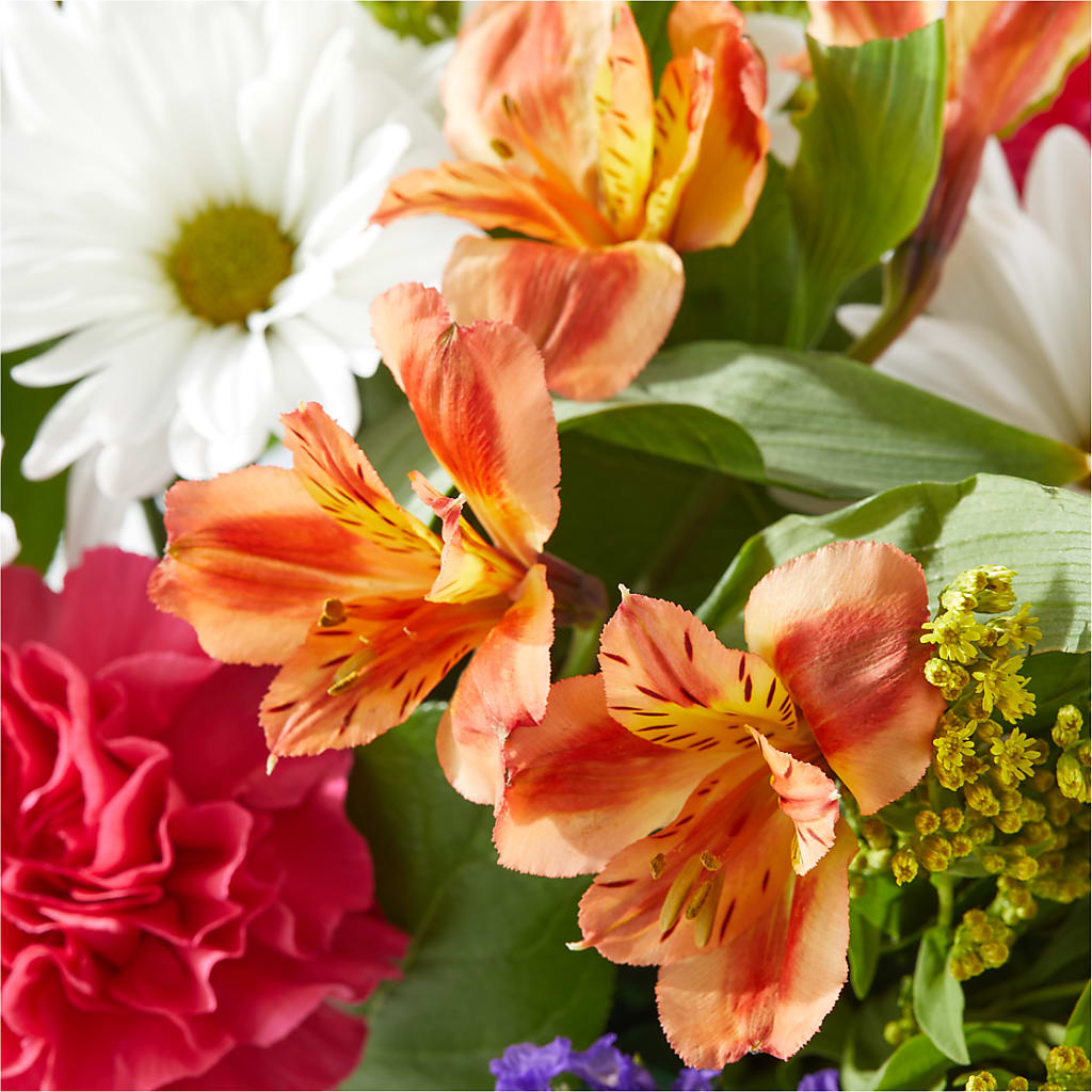 Oopsie Daisy Box Bouquet –  Platte Floral, Colorado Springs CO