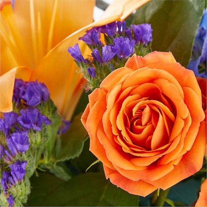 Radiant Citrus Box Bouquet –  Platte Floral, Colorado Springs CO