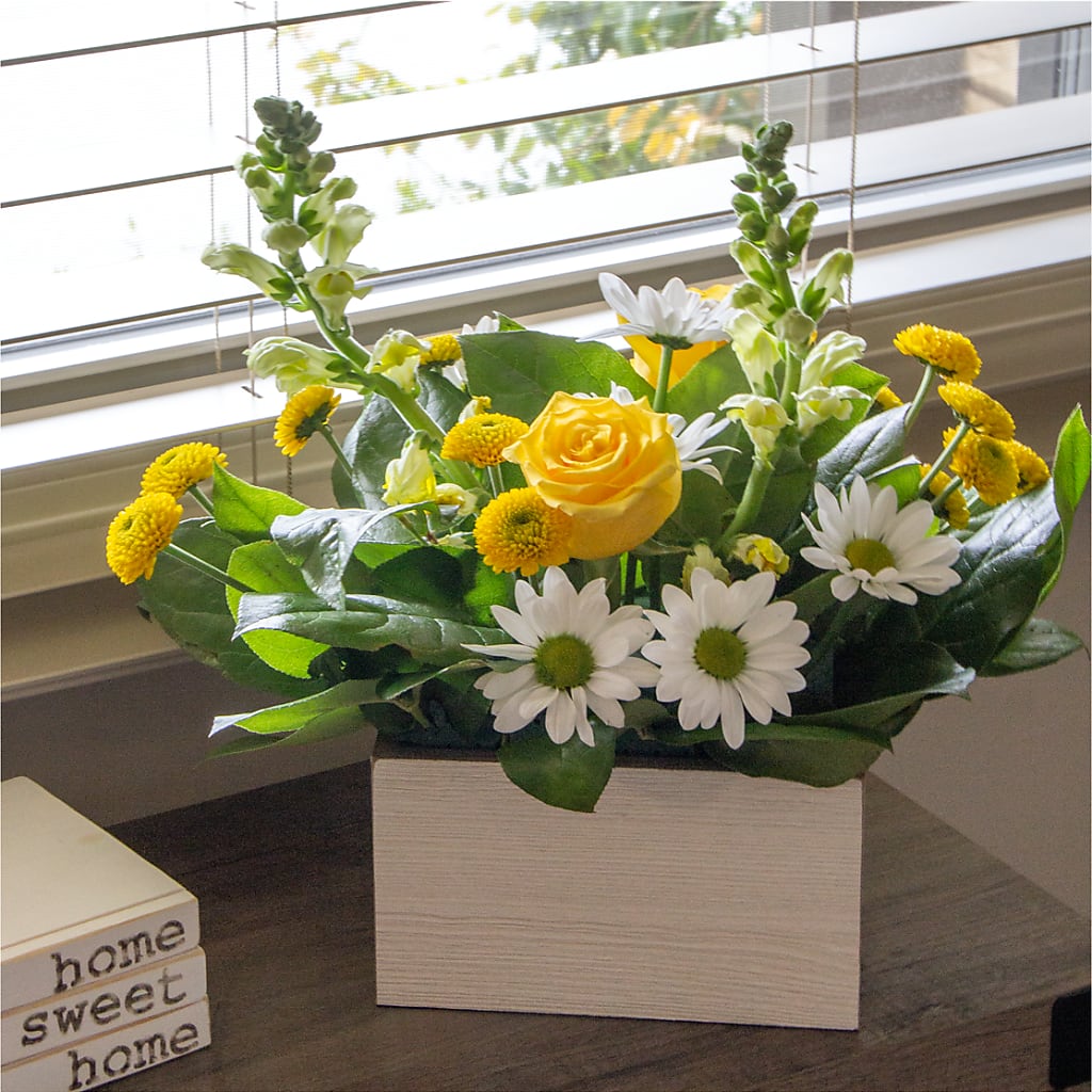 Sun Salutation Box Bouquet –  Platte Floral, Colorado Springs CO