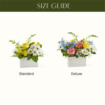 Sun Salutation Box Bouquet –  Platte Floral, Colorado Springs CO