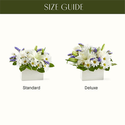 Beyond Blue Box Bouquet –  Platte Floral, Colorado Springs CO