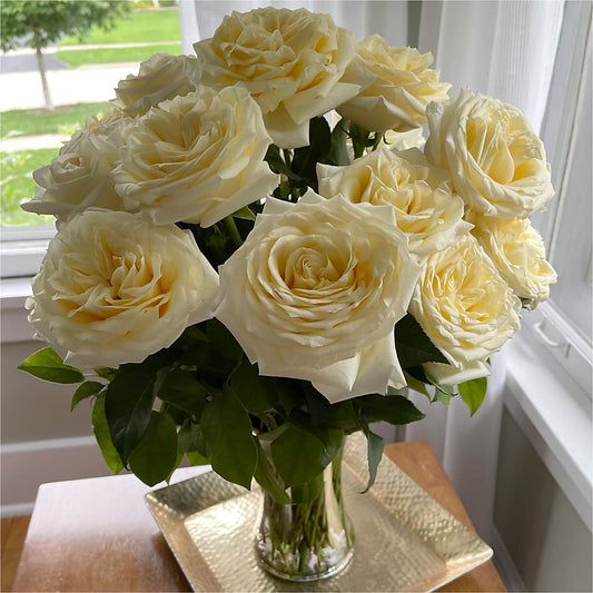 Long Stem Yellow Rose Bouquet –  Platte Floral, Colorado Springs CO