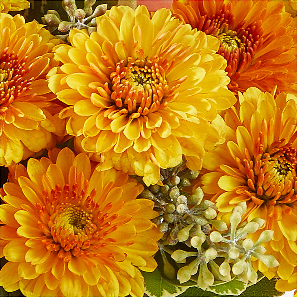 Peachy Pumpkin –  Platte Floral, Colorado Springs CO