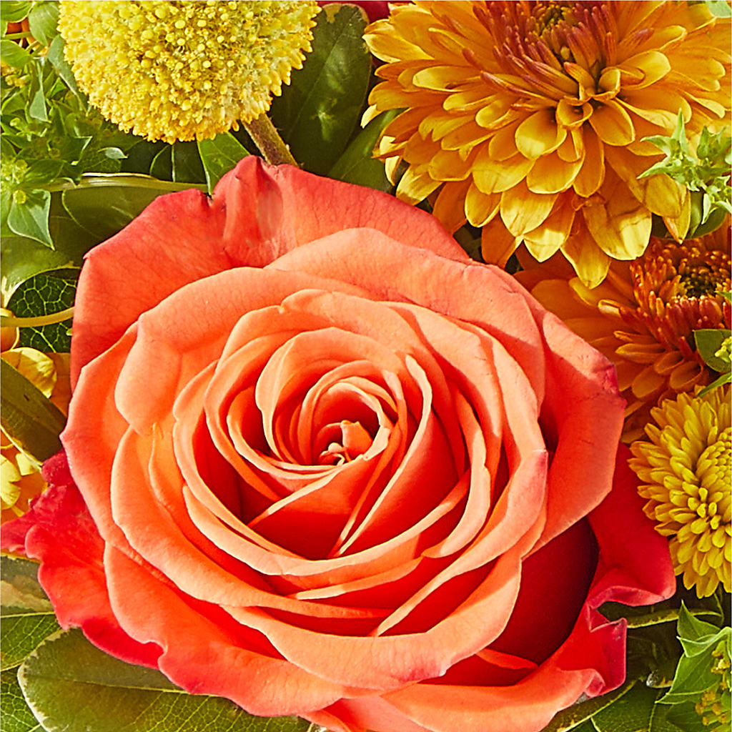 Gourdgeous Pumpkin –  Platte Floral, Colorado Springs CO