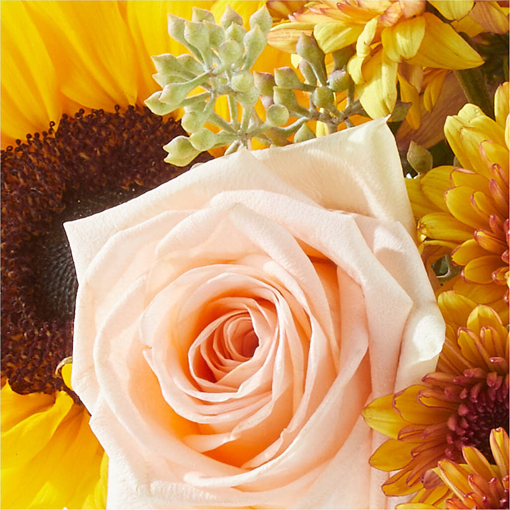 Pumpkin to Talk About Bouquet –  Platte Floral, Colorado Springs CO