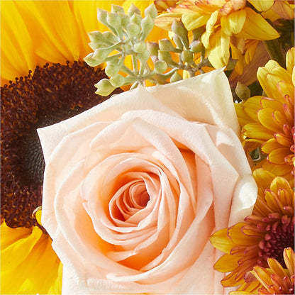 Pumpkin to Talk About Bouquet –  Platte Floral, Colorado Springs CO
