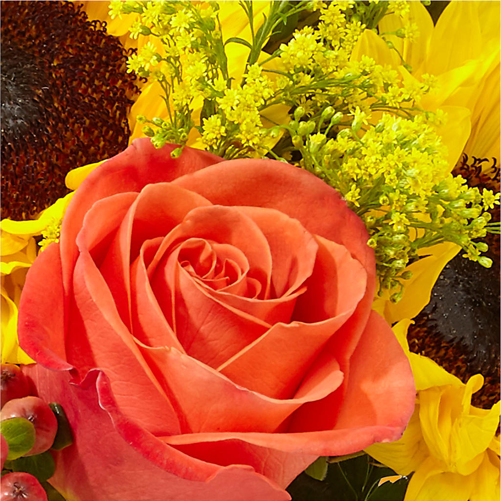 Pick of the Patch Pumpkin Bouquet –  Platte Floral, Colorado Springs CO