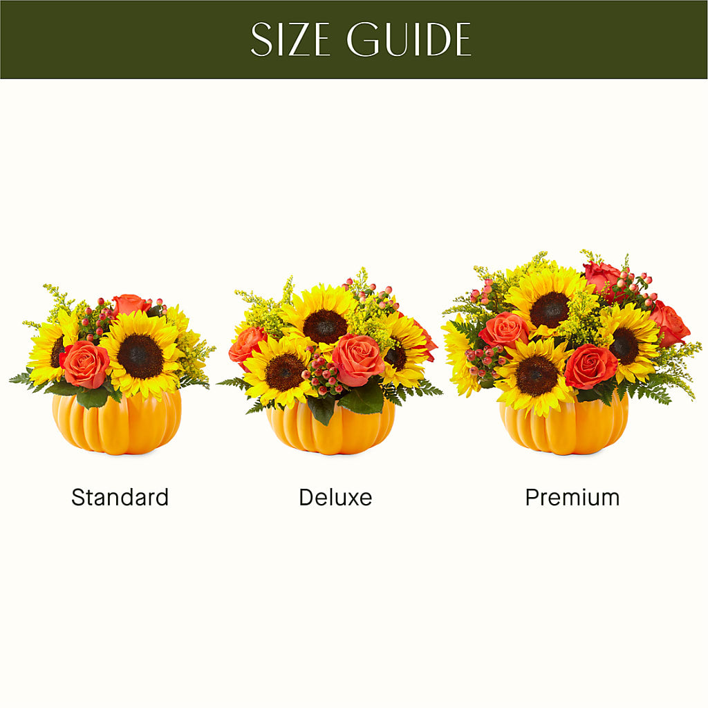 Pick of the Patch Pumpkin Bouquet –  Platte Floral, Colorado Springs CO