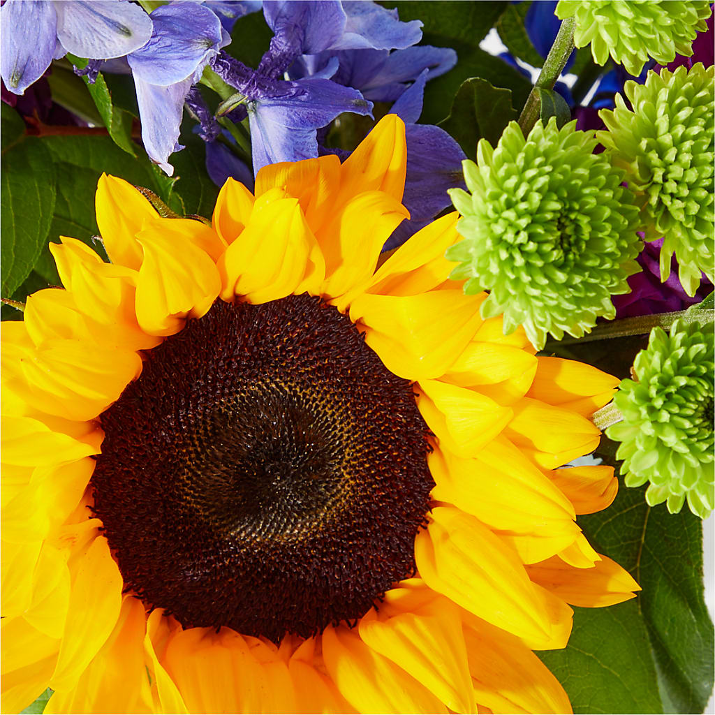 Catching Rays Bouquet –  Platte Floral, Colorado Springs CO