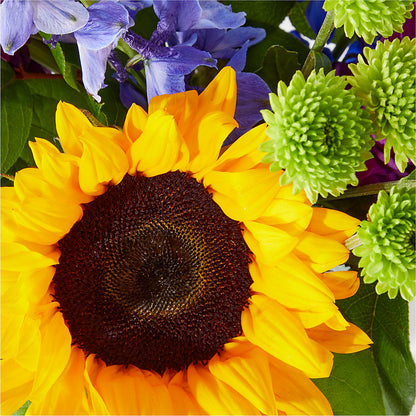 Catching Rays Bouquet –  Platte Floral, Colorado Springs CO
