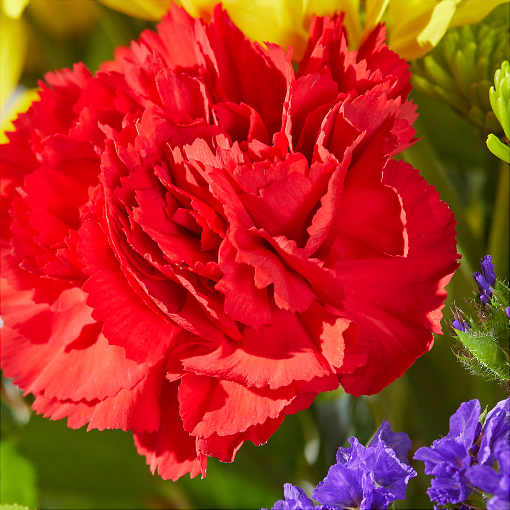 Brighter Days Bouquet –  Platte Floral, Colorado Springs CO