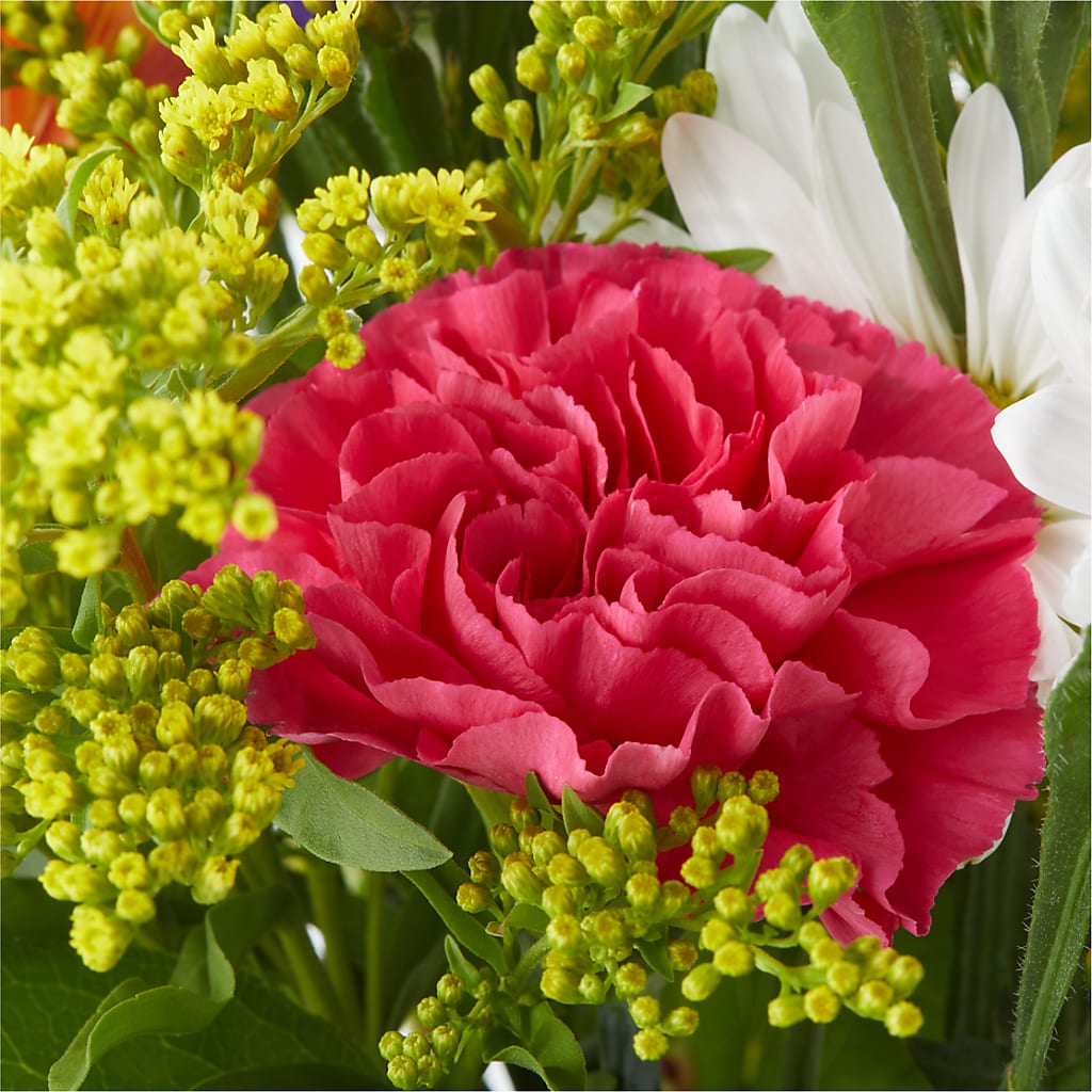 Oopsie Daisy Bouquet –  Platte Floral, Colorado Springs CO