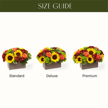Happy Harvest Garden –  Platte Floral, Colorado Springs CO