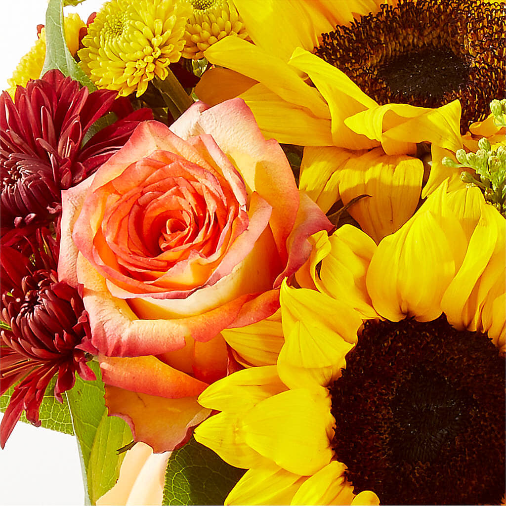 Golden Gourd Pumpkin Bouquet –  Platte Floral, Colorado Springs CO