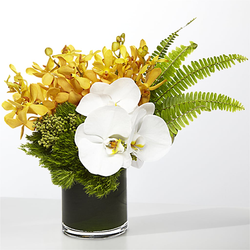 The Tropics –  Platte Floral, Colorado Springs CO