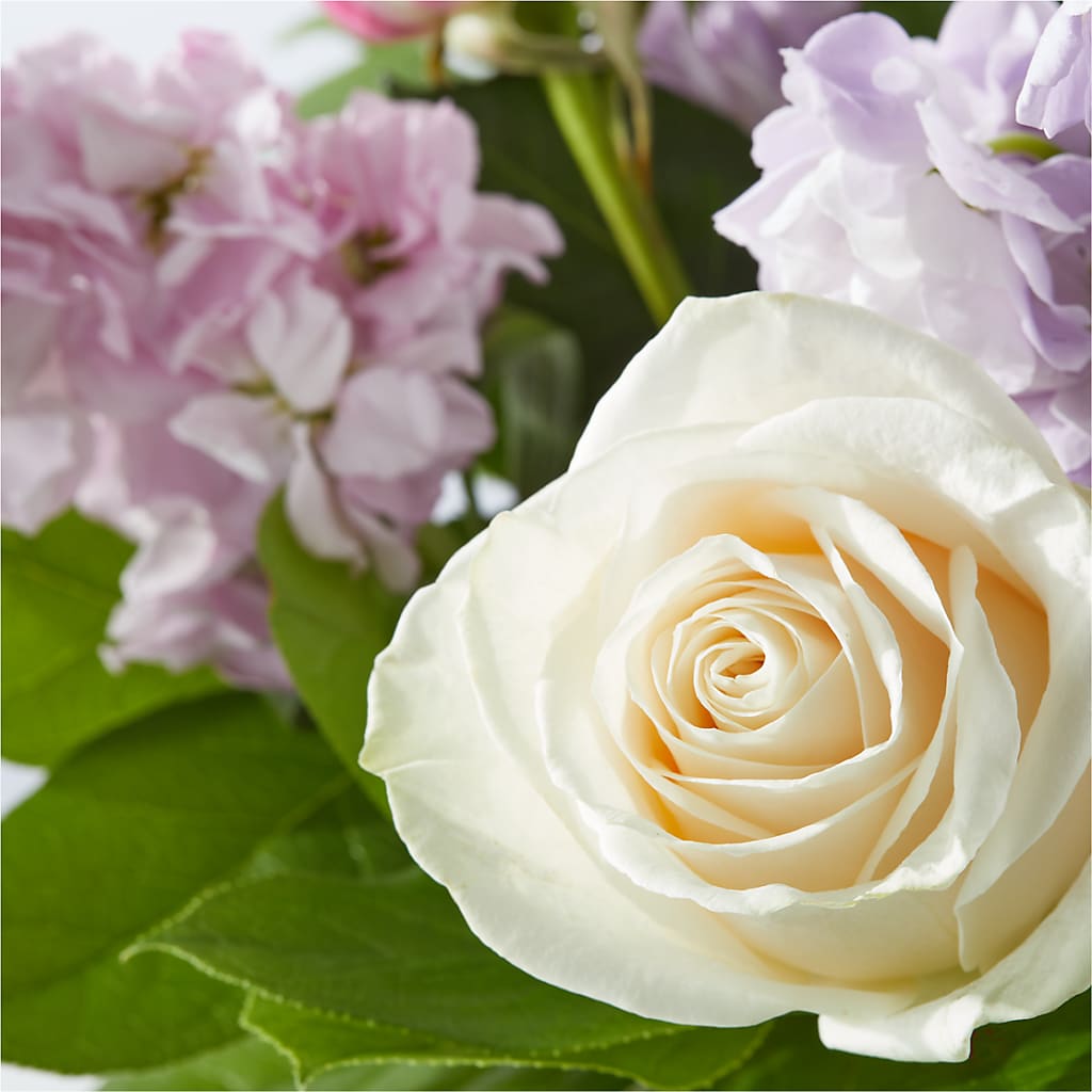 Springtime Spritz Bouquet –  Platte Floral, Colorado Springs CO
