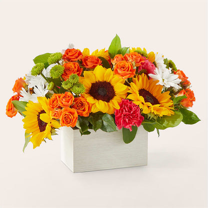 Sun-drenched Blooms Box Bouquet –  Platte Floral, Colorado Springs CO